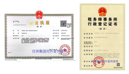 集團(tuán)設(shè)立重慶公司 專業(yè)工商事務(wù)代理引領(lǐng)高效發(fā)展