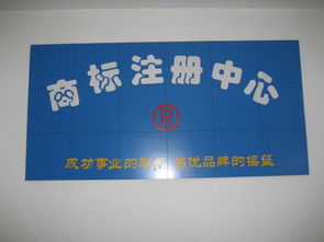 圣佳23周年 專業(yè)引領(lǐng)濟(jì)寧工商代理與公司注冊服務(wù)